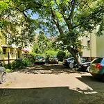 Joy Nemoianu 8d * Timisoara