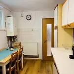 Apartment Joy Nemoianu 8d Timisoara