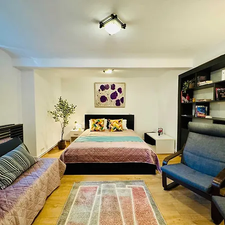 Joy Nemoianu 8d Апартаменти