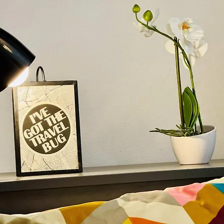 Joy Nemoianu 8d Апартаменти Тімішоара