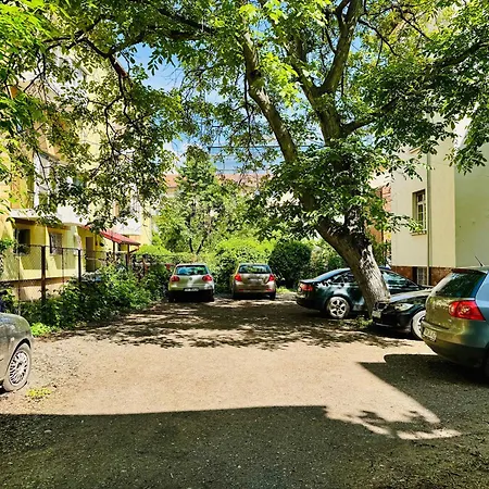 Joy Nemoianu 8d * 蒂米什瓦拉