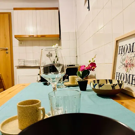 公寓 Joy Nemoianu 8d 蒂米什瓦拉