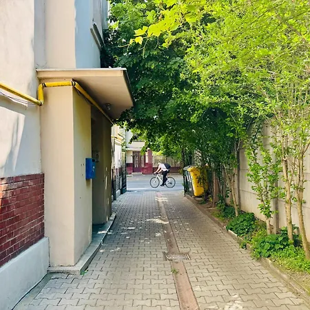 公寓 Joy Nemoianu 8d