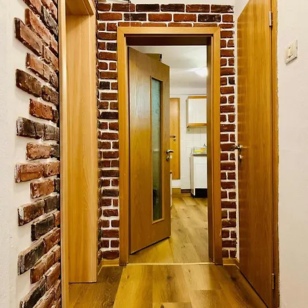 公寓 Joy Nemoianu 8d *