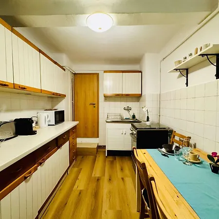 公寓 Joy Nemoianu 8d