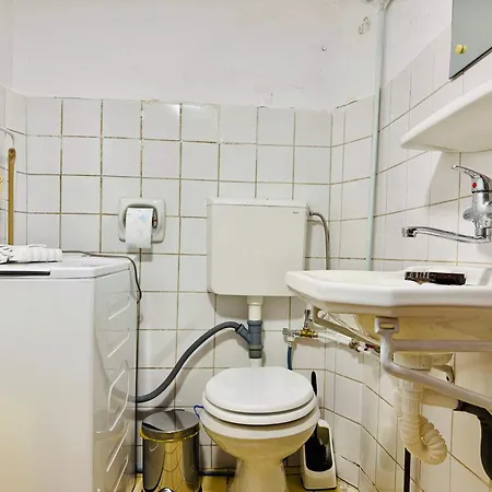 Joy Nemoianu 8d 蒂米什瓦拉