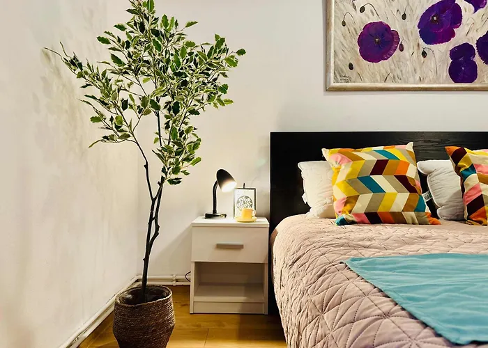 Appartement Joy Nemoianu 8d *