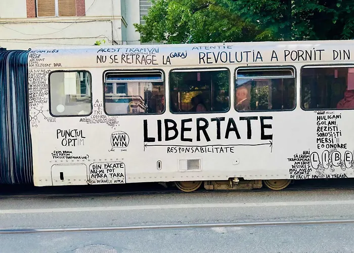 Joy Nemoianu 8d アパート ティミショアラ