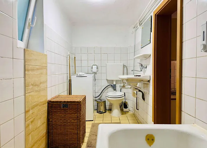 Joy Nemoianu 8d Timişoara