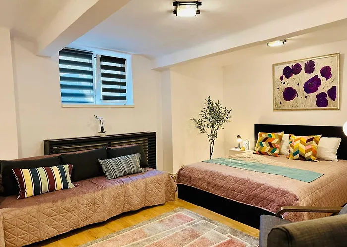 Joy Nemoianu 8d Timişoara