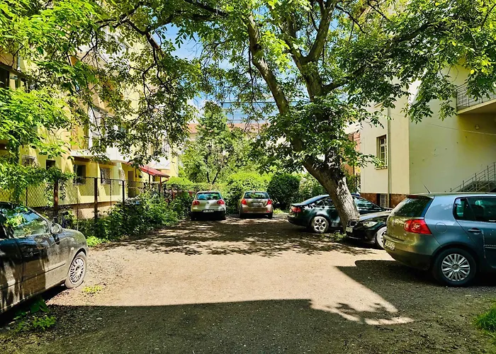 Joy Nemoianu 8d * Timişoara