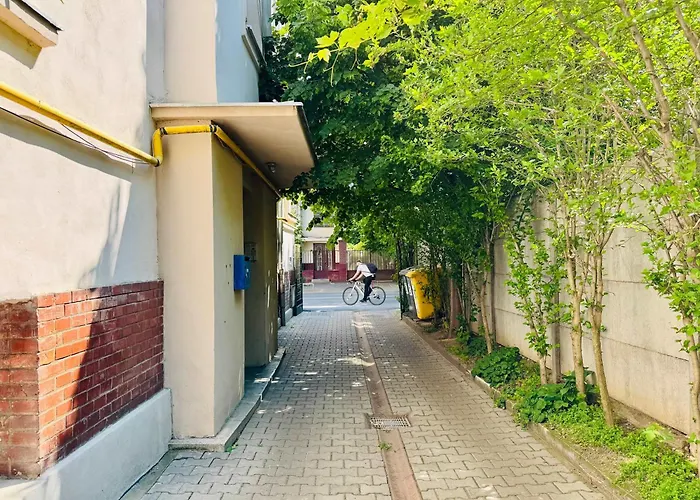 アパート Joy Nemoianu 8d