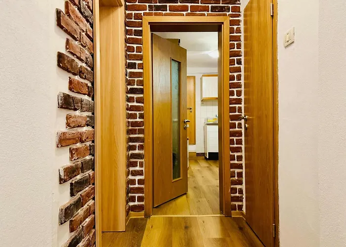 Appartement Joy Nemoianu 8d *