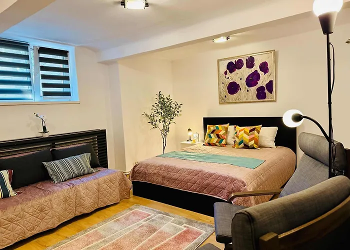 Joy Nemoianu 8d アパート