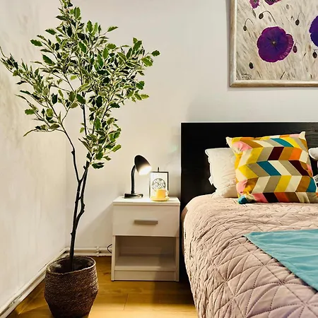Apartment Joy Nemoianu 8d *