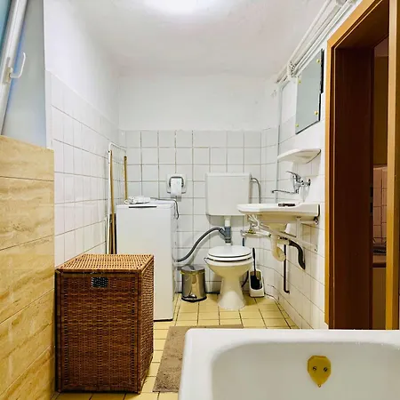 Joy Nemoianu 8d Timişoara