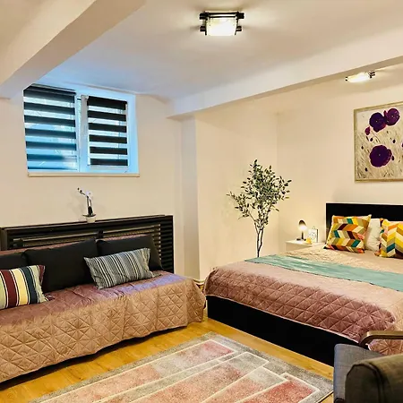 Joy Nemoianu 8d Timişoara