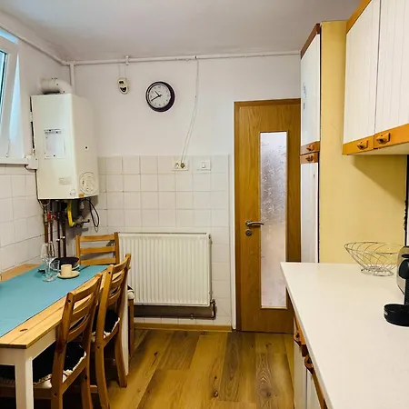 Apartment Joy Nemoianu 8d Timisoara