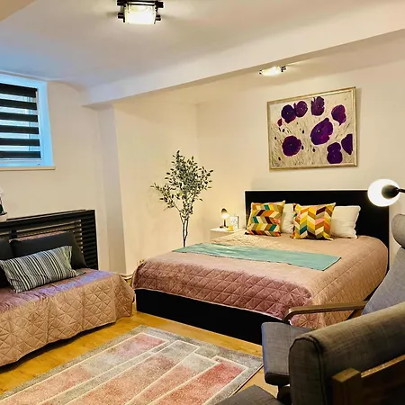 Joy Nemoianu 8d Apartment