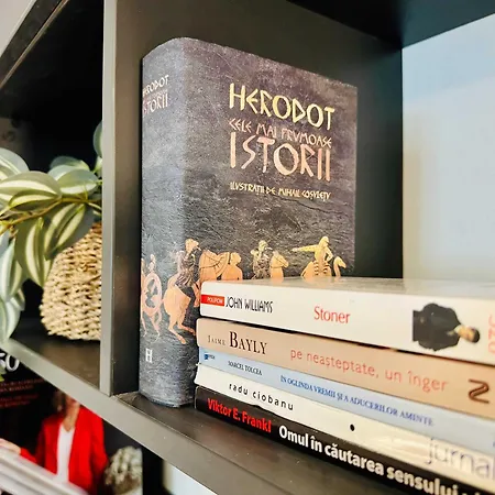 Joy Nemoianu 8d Lejlighed *