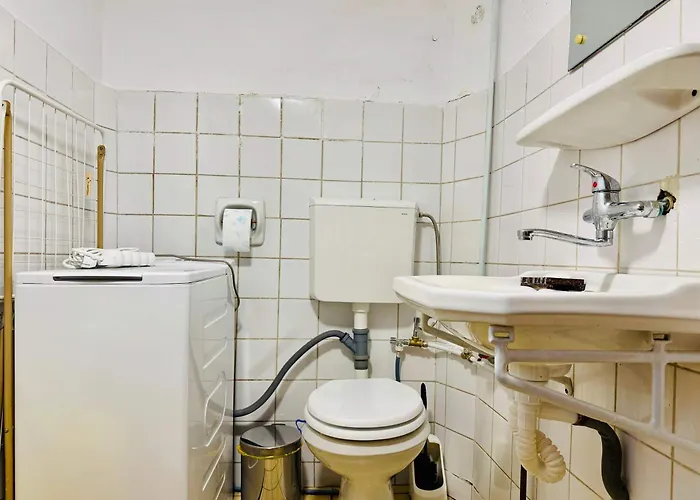 Joy Nemoianu 8d Timisoara