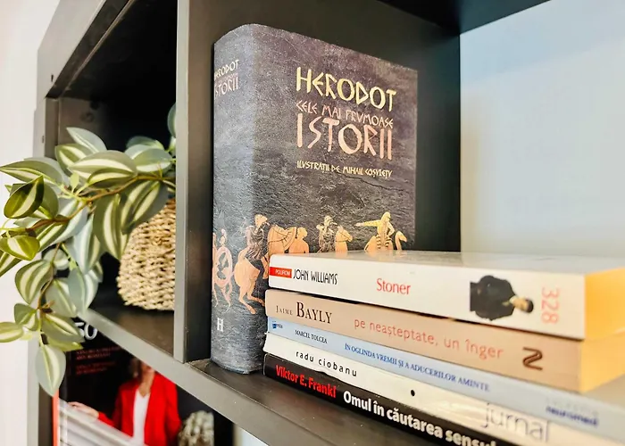 Joy Nemoianu 8d Appartamento *